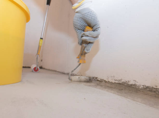 Best Pest Control for Warehouses  in Affton, MO